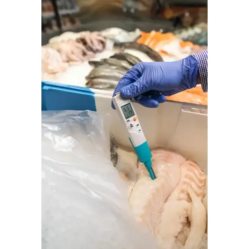 پی اچ متر Testo 206-pH2